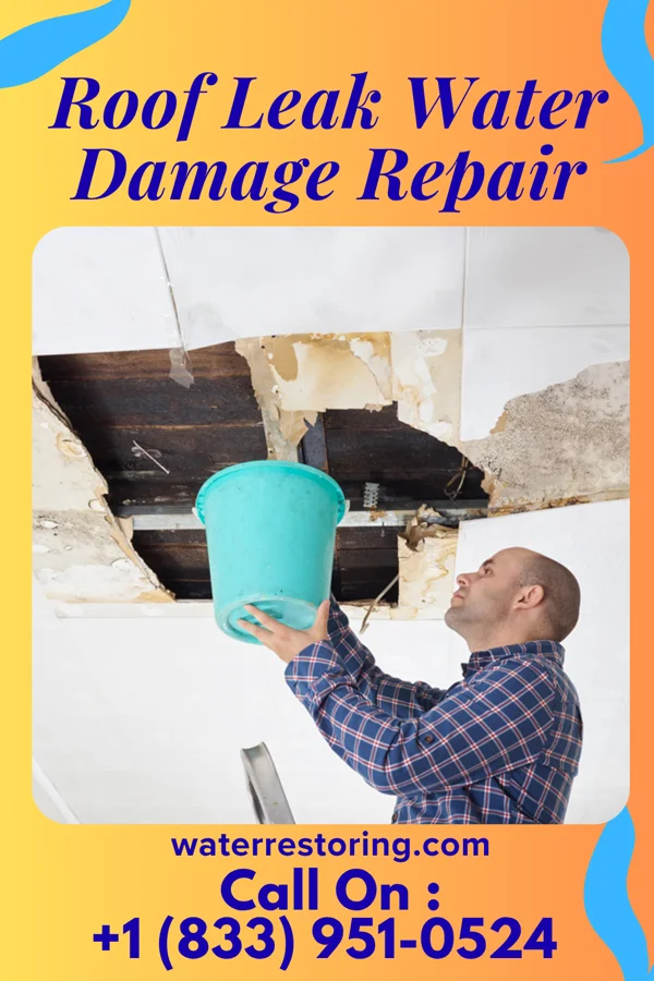 Roof Leak Water Damage Repair in Osceola, IN