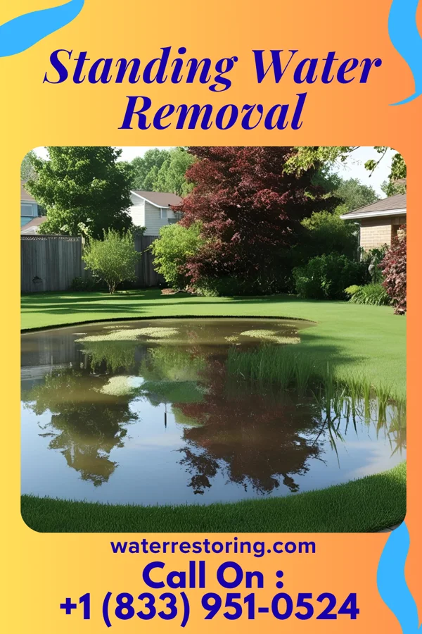 Standing Water Removal in Osceola, IN